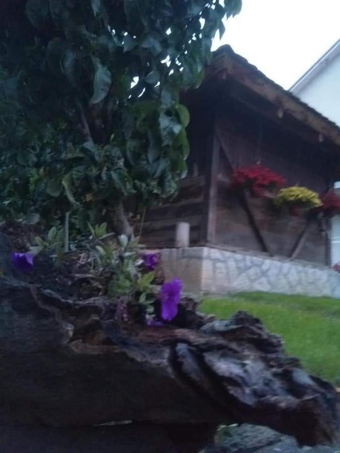 Djurdja Apartment Arandjelovac Dış mekan fotoğraf