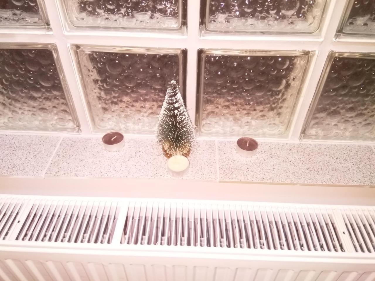 Djurdja Apartment Arandjelovac Dış mekan fotoğraf